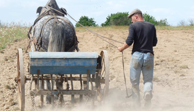 Débardage, travail agricole et utilitaire